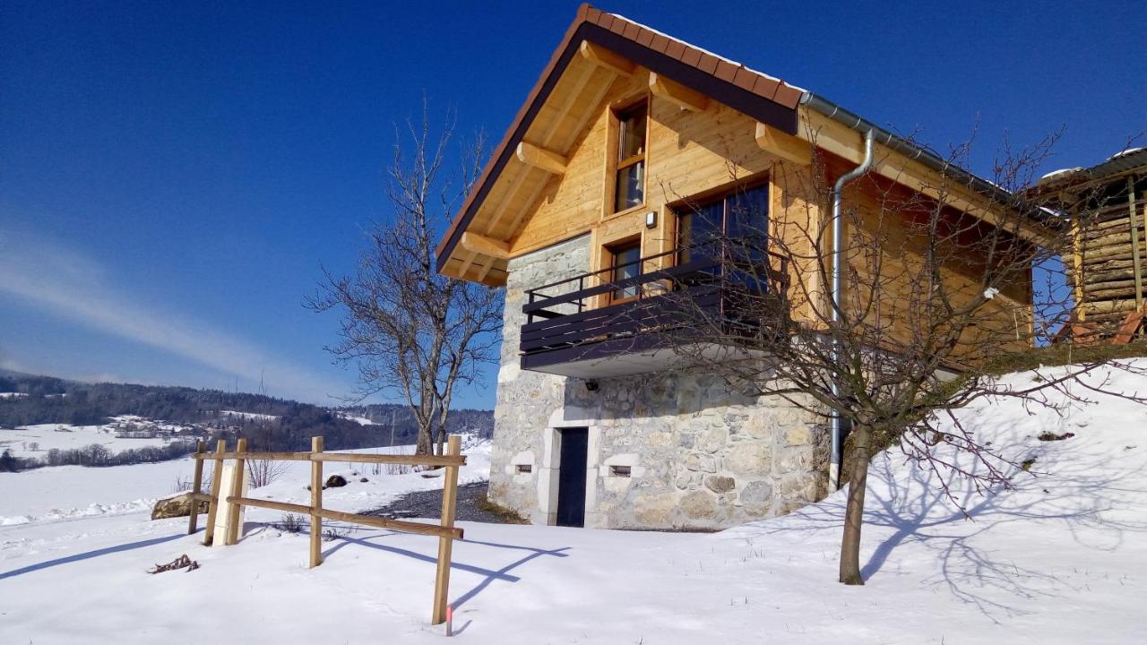 Le Chalet Des Pierres Viuz-en-Sallaz Exterior photo